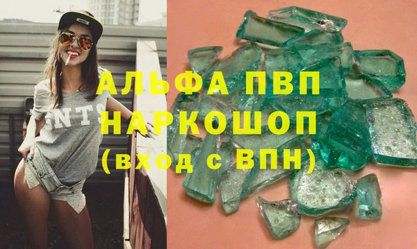 стаф Алзамай