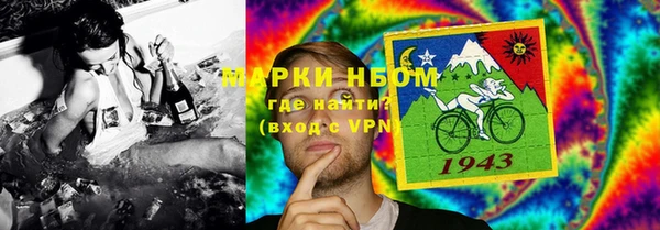 стаф Алзамай