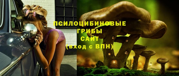 стаф Алзамай